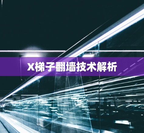 X梯子翻墙技术解析