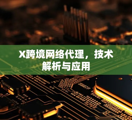 X跨境网络代理，技术解析与应用
