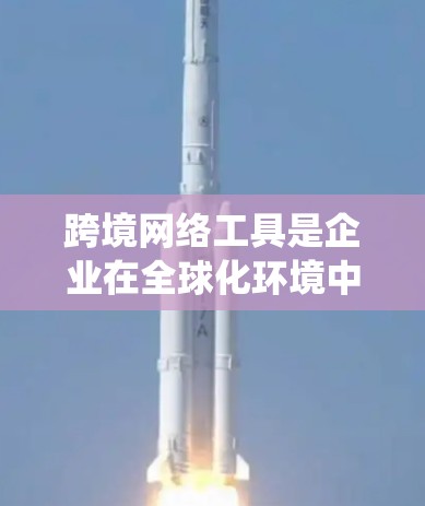 跨境网络工具是企业在全球化环境中进行跨国业务的重要助力，帮助它们克服地理和文化障碍，提升业务流程的效率和竞争力。以下是对跨境网络工具的系统分析和总结