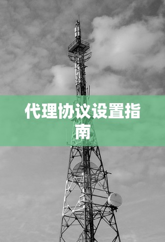 代理协议设置指南