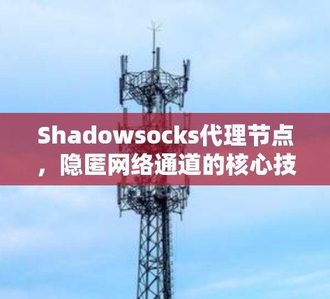 Shadowsocks代理节点，隐匿网络通道的核心技术
