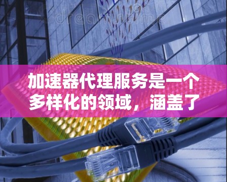 加速器代理服务是一个多样化的领域，涵盖了多种技术和应用场景，以帮助用户优化数据传输效率。以下是对加速器代理服务的详细分类和选择建议