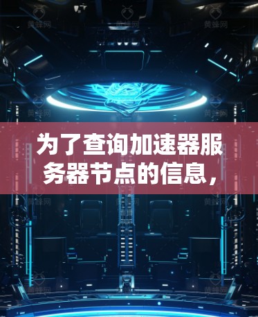 为了查询加速器服务器节点的信息，可以按照以下步骤进行