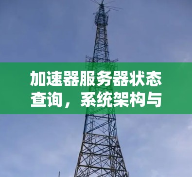 加速器服务器状态查询,系统架构与监控方法 加速器服务器状态查询,系统架构与监控方法