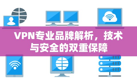 VPN专业品牌解析，技术与安全的双重保障