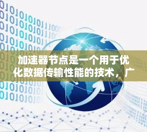 加速器节点是一个用于优化数据传输性能的技术，广泛应用于数据中心、云计算、内容分发网络（CDN）等领域。以下是加速器节点的主要分类及其详细说明