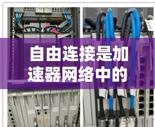 自由连接是加速器网络中的一个关键拓扑结构，具有以下特点和应用