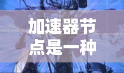 加速器节点是一种用于加速特定任务的节点，常见于分布式网络和区块链环境中。它通过优化资源分配和网络路径，显著提升任务执行效率。以下是如何使用加速器节点的分步指南