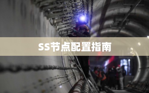 SS节点配置指南