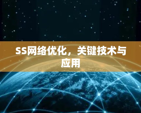 SS网络优化，关键技术与应用