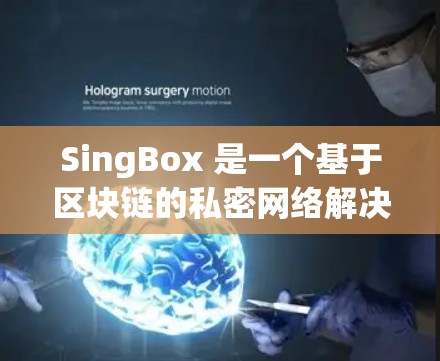 SingBox 是一个基于区块链的私密网络解决方案，旨在为用户提供匿名、安全的通信和数据传输服务。以下是关于 SingBox 节点管理的一些关键信息和步骤