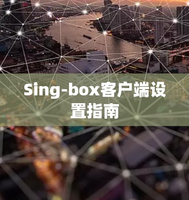 Sing-box客户端设置指南