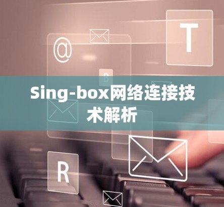 Sing-box网络连接技术解析