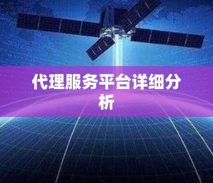 代理服务平台详细分析 代理服务平台详细分析