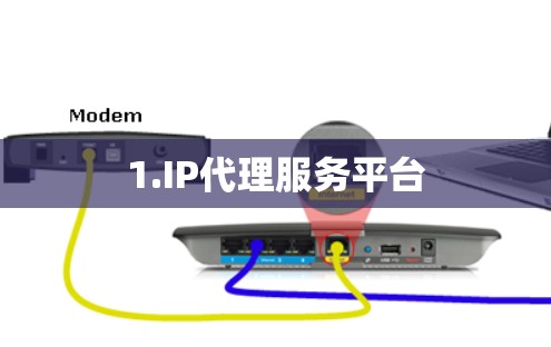 1.IP代理服务平台 1.IP代理服务平台