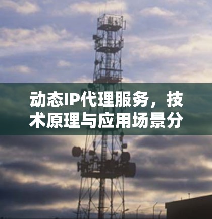 动态IP代理服务,技术原理与应用场景分析 动态IP代理服务,技术原理与应用场景分析