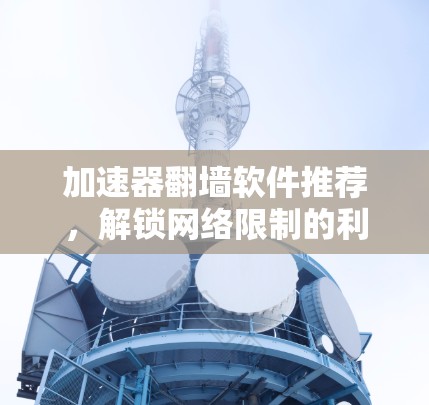 加速器翻墙软件推荐,解锁网络限制的利器 加速器翻墙软件推荐,解锁网络限制的利器