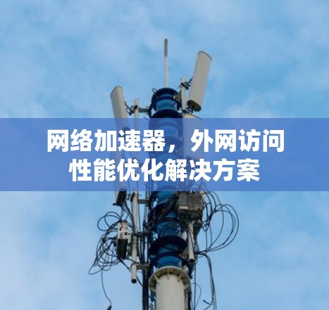 网络加速器,外网访问性能优化解决方案 网络加速器,外网访问性能优化解决方案
