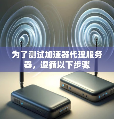 为了测试加速器代理服务器，遵循以下步骤