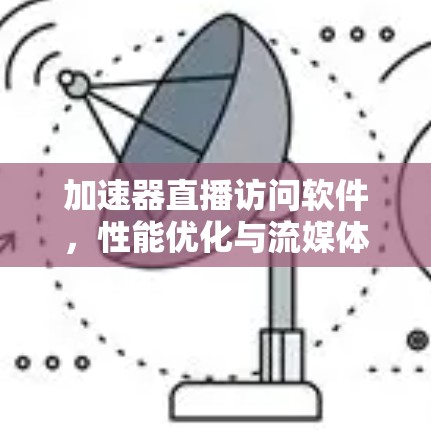 加速器直播访问软件，性能优化与流媒体传输新突破