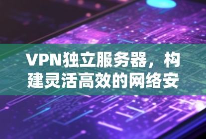 VPN独立服务器，构建灵活高效的网络安全防护