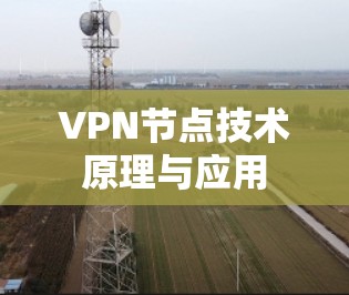 VPN节点技术原理与应用 VPN节点技术原理与应用