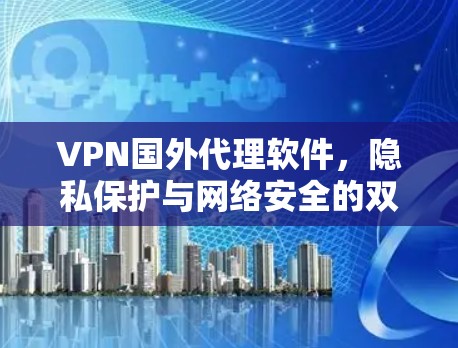 VPN国外代理软件,隐私保护与网络安全的双重保障 VPN国外代理软件,隐私保护与网络安全的双重保障