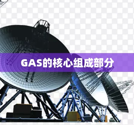GAS的核心组成部分 GAS的核心组成部分
