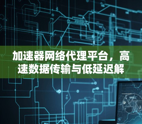 加速器网络代理平台，高速数据传输与低延迟解决方案