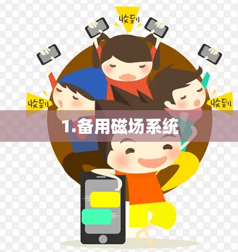 1.备用磁场系统