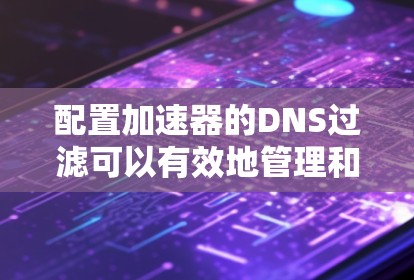 配置加速器的DNS过滤可以有效地管理和优化DNS请求，确保加速器正确处理并缓存适当的内容。以下是详细的步骤指南