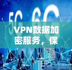 VPN数据加密服务，保障通信安全的关键技术