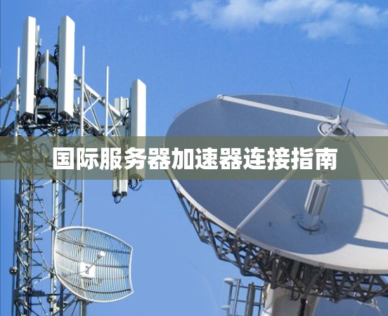 国际服务器加速器连接指南