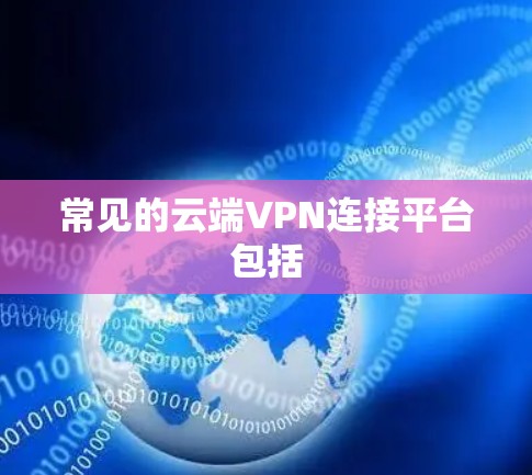常见的云端VPN连接平台包括
