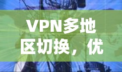 VPN多地区切换，优化网络架构，保障数据安全