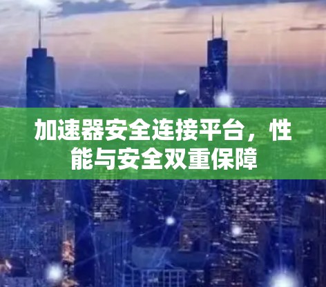 加速器安全连接平台，性能与安全双重保障