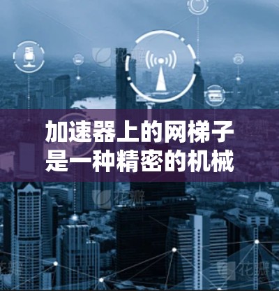加速器上的网梯子是一种精密的机械结构，用于引导和加速粒子，使其能够在高能实验中发挥作用。以下是对这一概念的详细分析