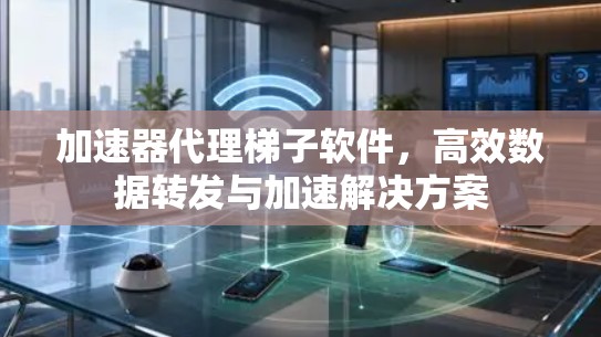 加速器代理梯子软件，高效数据转发与加速解决方案