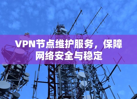VPN节点维护服务，保障网络安全与稳定