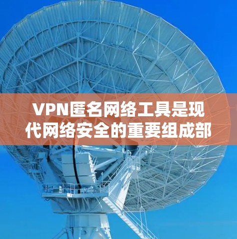 VPN匿名网络工具是现代网络安全的重要组成部分，帮助用户保护隐私并确保数据安全。以下是对VPN匿名网络工具的详细分析