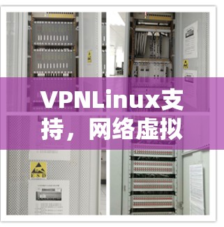VPNLinux支持,网络虚拟化与安全的无缝融合 VPNLinux支持,网络虚拟化与安全的无缝融合