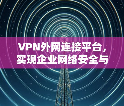 VPN外网连接平台，实现企业网络安全与便捷访问