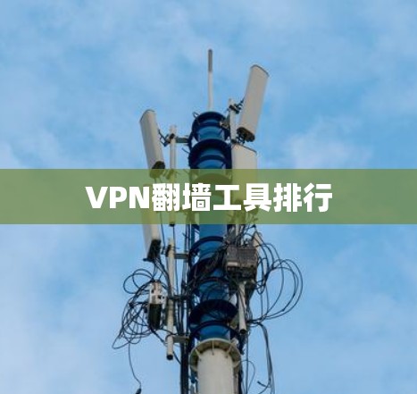 VPN翻墙工具排行