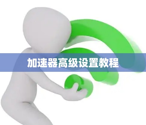 加速器高级设置教程