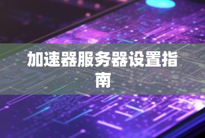 加速器服务器设置指南
