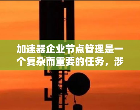 加速器企业节点管理是一个复杂而重要的任务，涉及多个方面的协调和维护。以下是对加速器企业节点管理的系统化总结