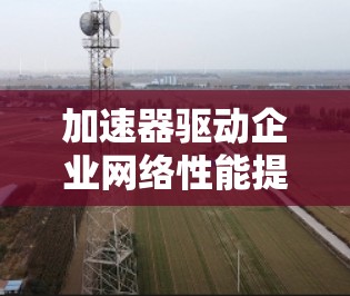 加速器驱动企业网络性能提升