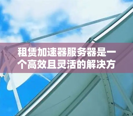 租赁加速器服务器是一个高效且灵活的解决方案，适用于处理资源需求波动大的项目。以下是对租赁加速器服务器的详细分析和建议