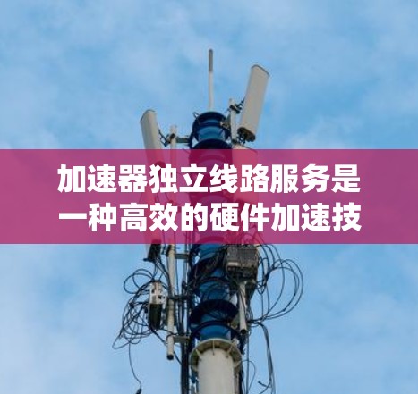 加速器独立线路服务是一种高效的硬件加速技术，通过提供独立的处理线路来提升系统性能和稳定性。以下是对该技术的详细分析和总结