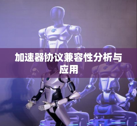 加速器协议兼容性分析与应用